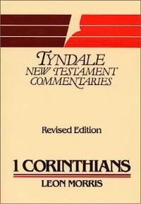 First Epistle Of Paul To The Corinthians : An Introduction And Commentary, The