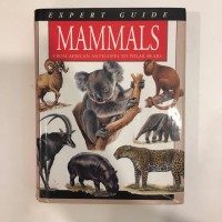 Image of Mammals from Antelopes to Polar Bears