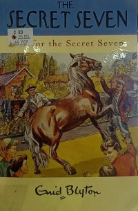 Secret Seven, The 15: Fun For The Secret Seven