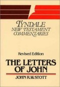 Letters Of John : An Introduction And Commentary, The
